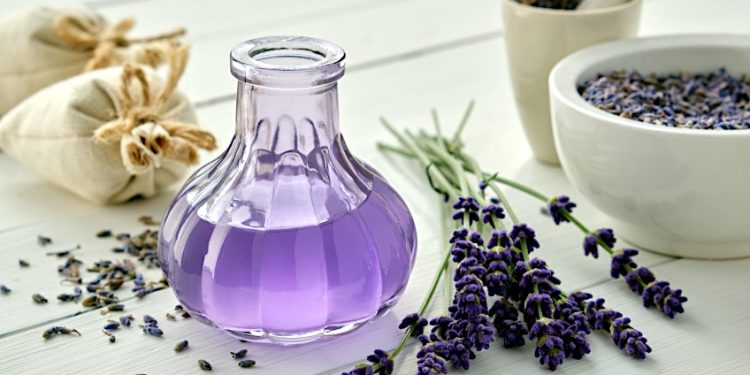 Lavender Tea Benefits – More Than Just a Pretty Flower