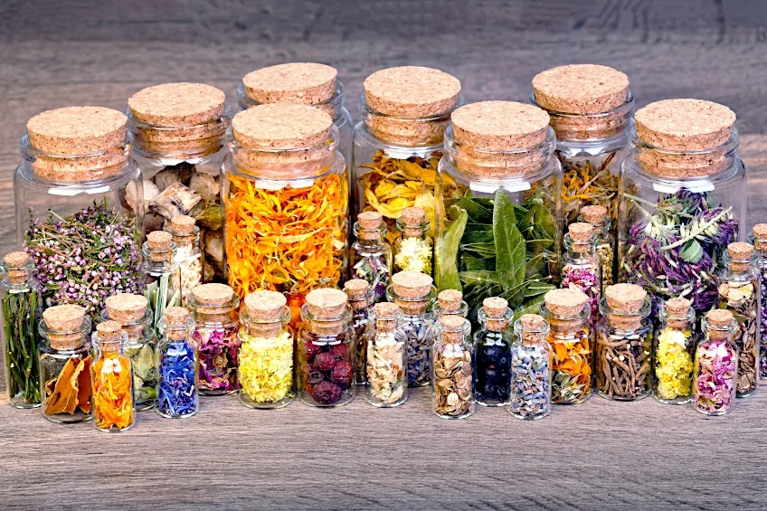 Storing Herbs for Tea