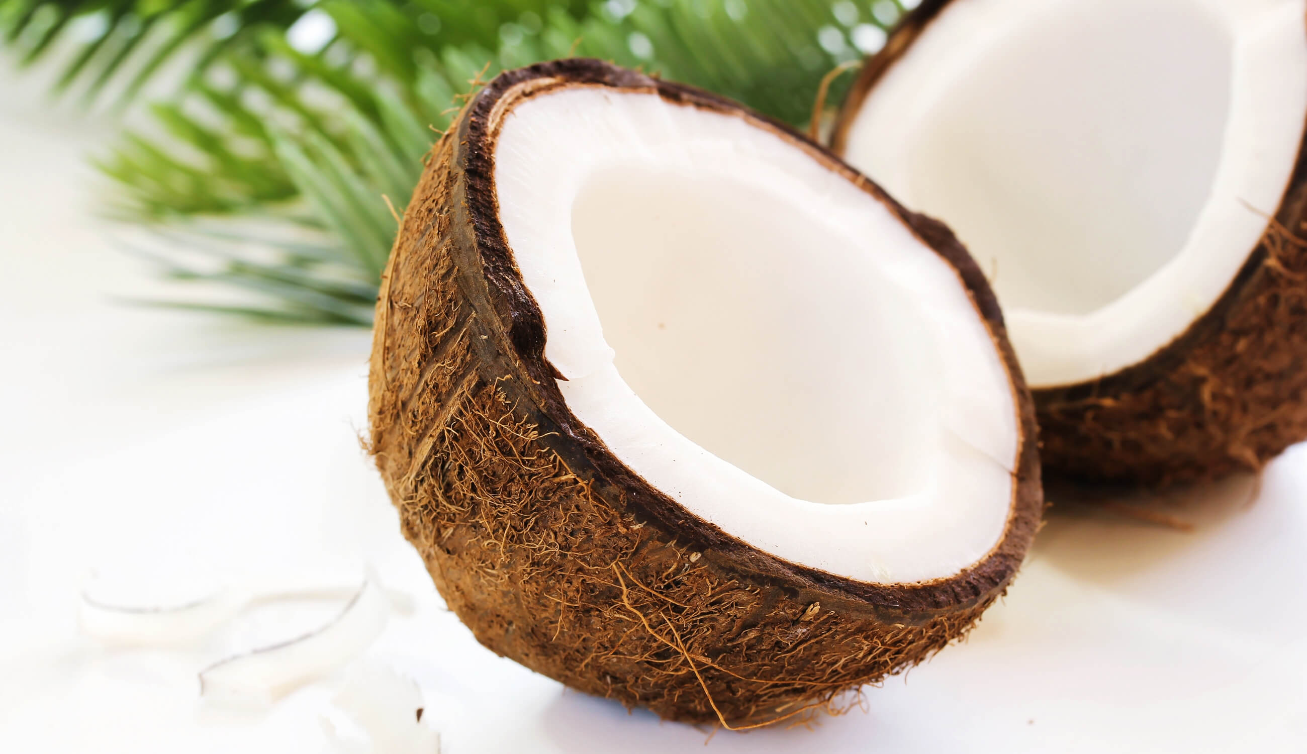 coconut